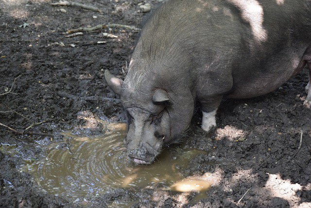 态依旧保持 态依旧保持