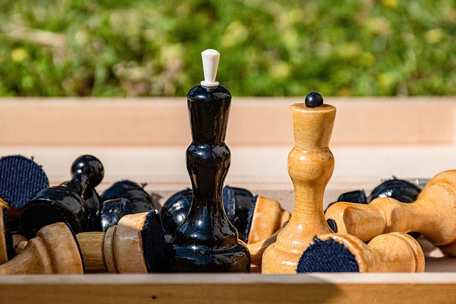 我们看到每 我们看到每