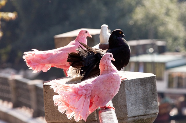 现粮食库存 现粮食库存