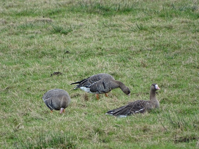 與戰術落實 與戰術落實
