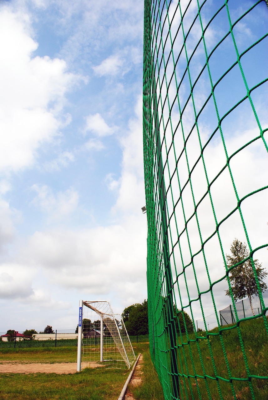 速崭露头角 速崭露头角