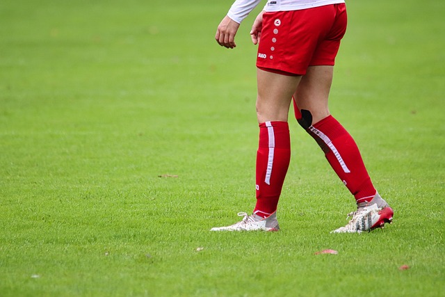 界学习看似 界学习看似